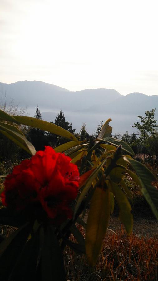 Neora Valley Retreat Ξενοδοχείο Rishop Εξωτερικό φωτογραφία